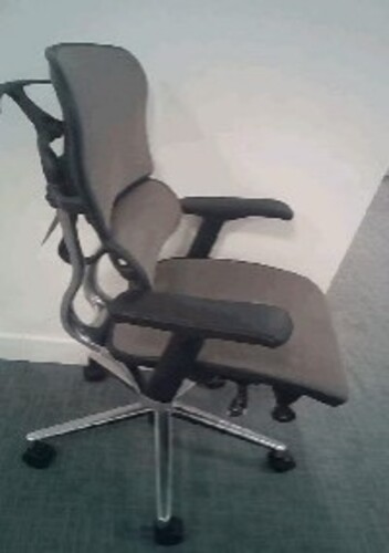 Ergomax Ergononomic Adjustable Chair - Image 1