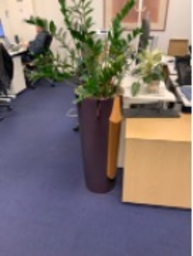 Plant Pot - Image 1