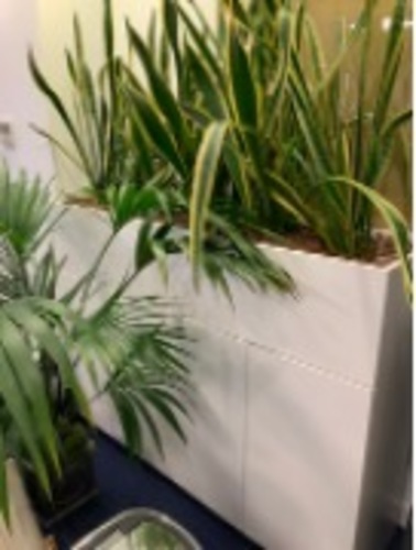 Plant Pot - Image 1