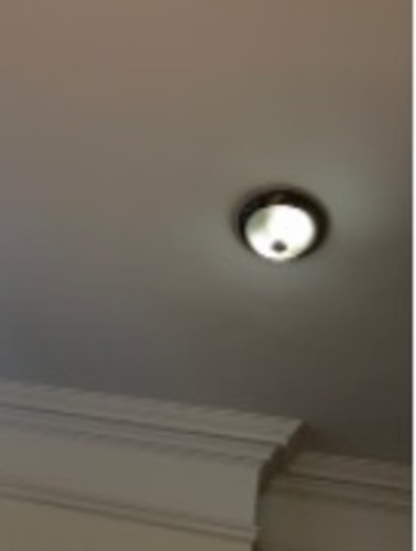 Pendant Light - Image 1