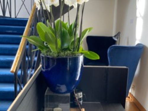 Plant Pot - Image 1