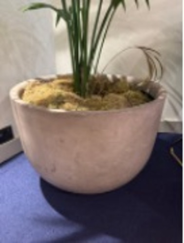 Plant Pot - Image 1