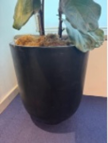 Plant Pot - Image 1