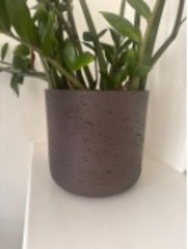 Plant Pot - Image 1