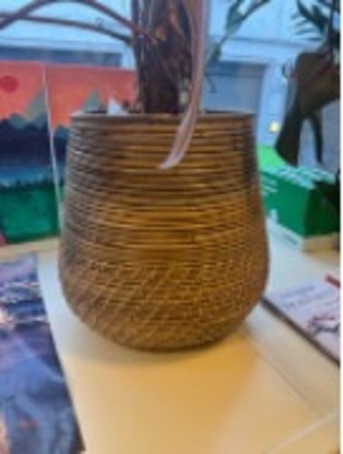 Plant Pot - Image 1