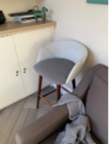 Occasional Chair - Image 1