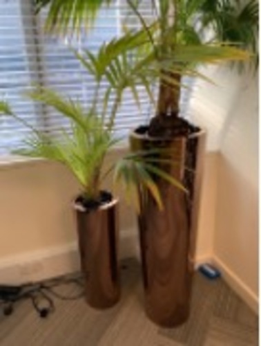 Plant Pot - Image 1