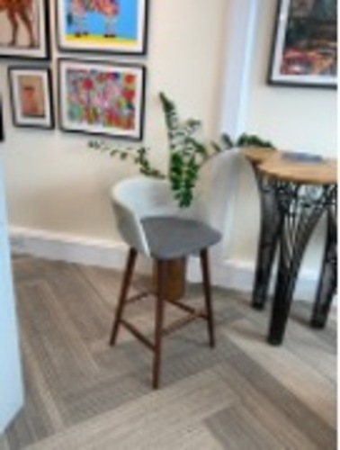 Occasional Chair - Image 1