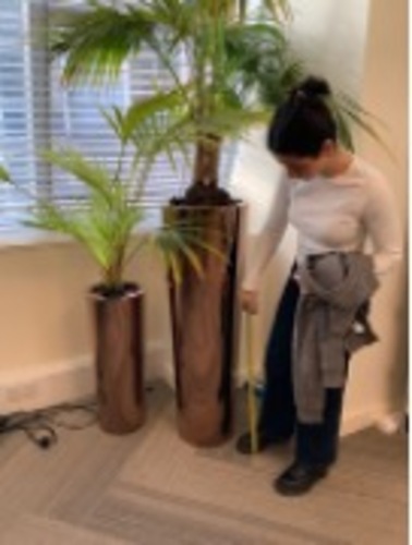 Plant Pot - Image 1