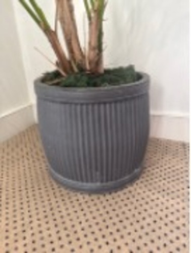 Pot Plant - Image 1