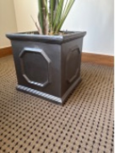 Pot plant - Image 1