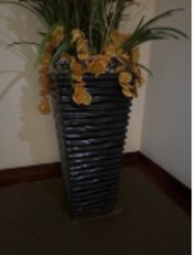 Pot plant - Image 1