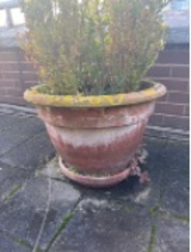 Pot - Image 1