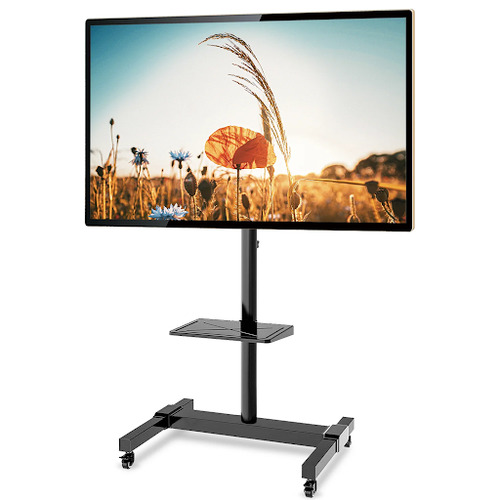 Rolling Stand & Flat Screen TV - Image 1