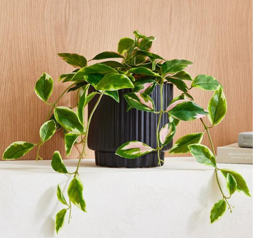 Faux Potted Spiderwort Plant - Image 1