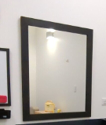 Wall Mounted Mirror with Black Trim - Thumbnail 2