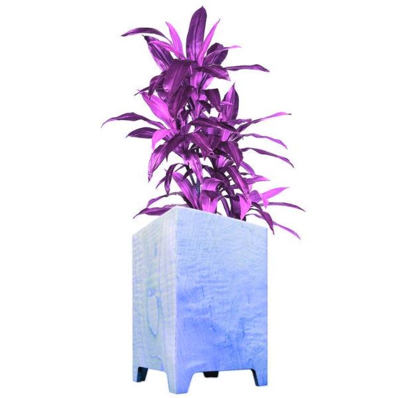 test - Image 1