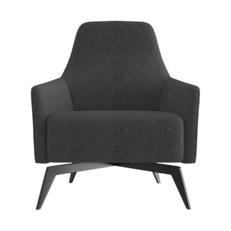 Anza Lounge Chair - Image 1