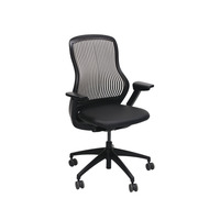ReGeneration Used Bronze Back Task Chair