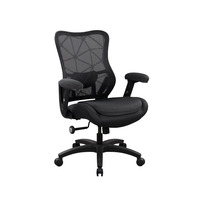 Avalon XL Mesh Back Task Chair with Plush Seat