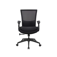 Seabrook Plus Sized Mesh Back Task Chair with Plush Seat