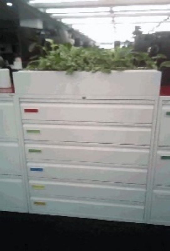 Six Draw Cabinet (With Planter) - Image 1