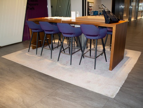 Area Rug (AR2-24) - Thumbnail 2