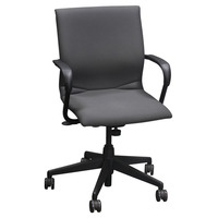 'Protege' Conference Chair